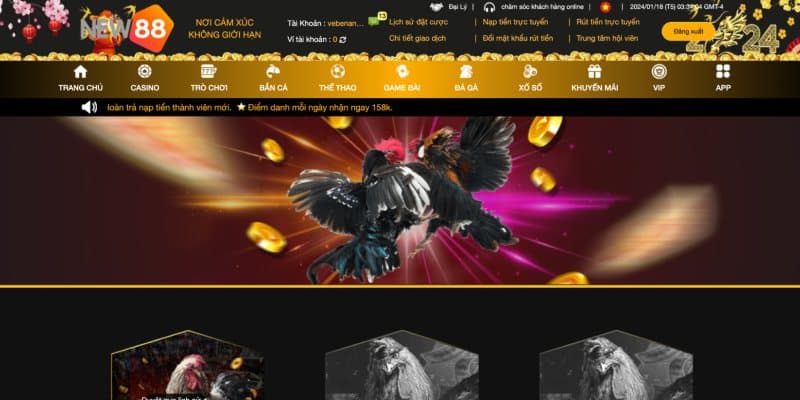 Đá Gà NEW88 Có Gì Hấp Dẫn Đến Vậy? 1 Giới thiệu Đá Gà NEW88